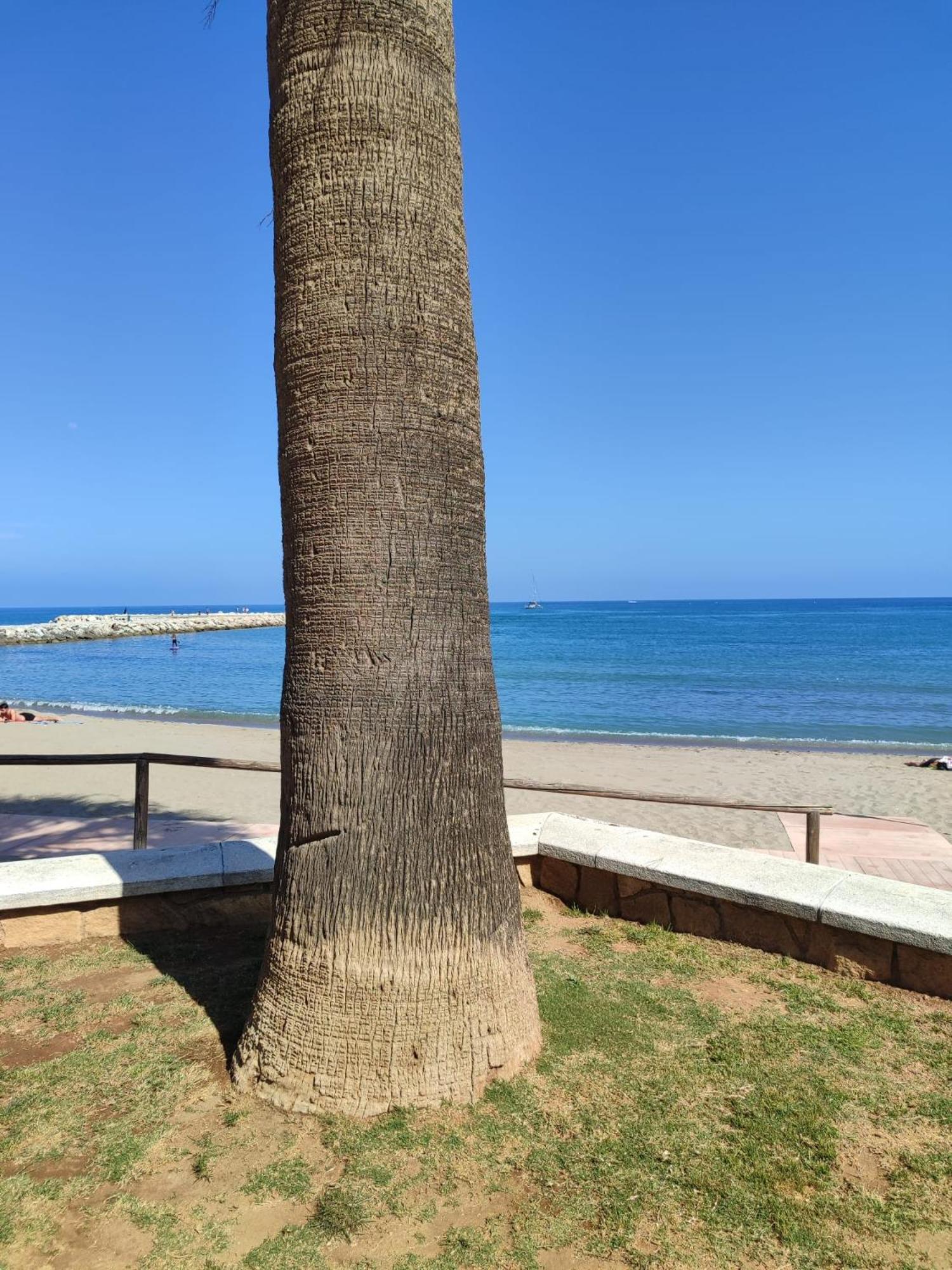 Fuengirola Reyes Beach ภายนอก รูปภาพ